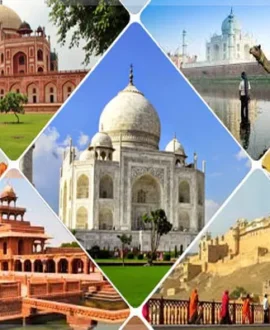 North India Tour Packages