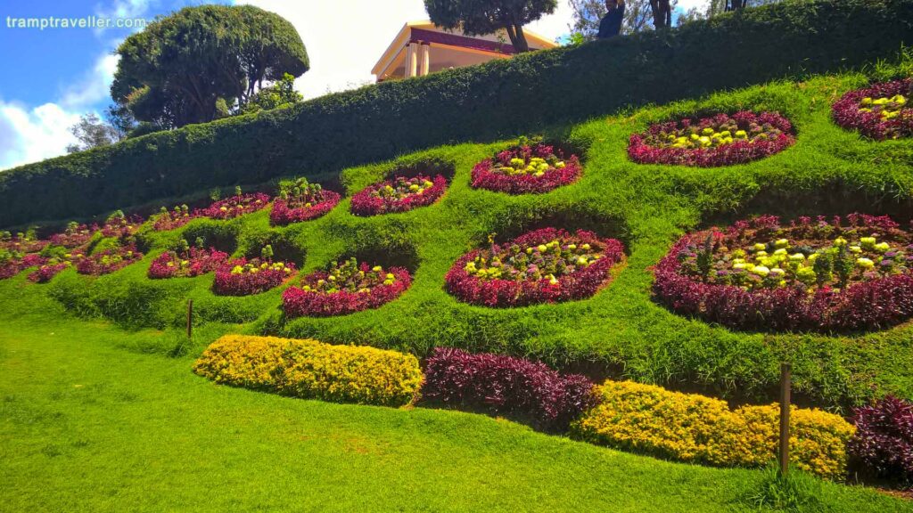 Ooty Rose Garden